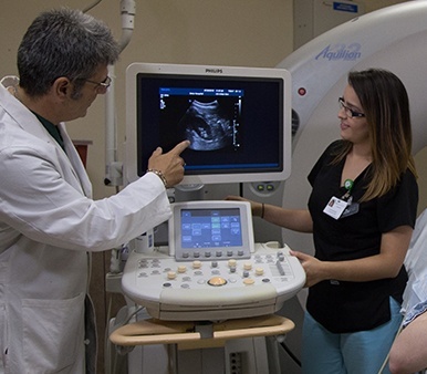 doctor examining results with assistant